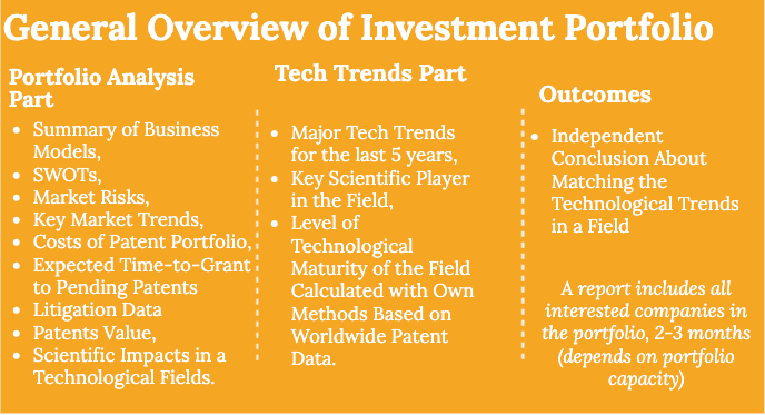 General Overview of Investment Portfolio (Support for Report for LPs). The Portfolio Analysis Part of the Report includes an Analysis of Each Company by the Following Dimensions: Summary of Business Model, SWOT, Market Risks,  Key Market Trends, Costs of Patent Portfolio, Expected Time-to-Grant to Pending Patents. Litigation Data, Patents Value, Scientific Impact in a Technological Field, The Tech Trends Part of the Report includes: Major Tech Trends for the last 5 years based on Patent Data, Key Scientific Players, Geographical Flow of Innovations, Level of Technological Maturity of the Fields, Key Market Players. Outcomes: Independent Conclusion About Matching the Technological Trends in a Field; A report includes all interested companies in the portfolio, 2-3 months (depends on portfolio capacity). Competitive analysis, Patent Analysis